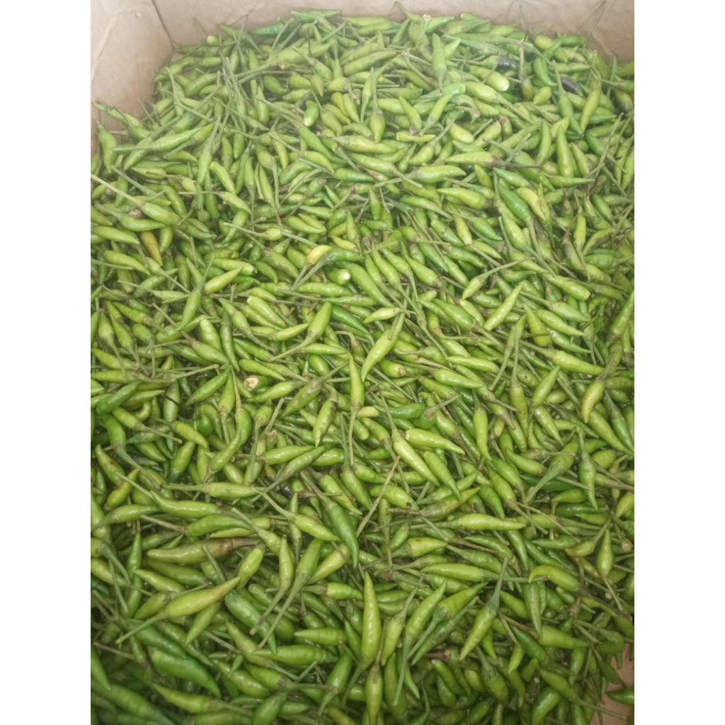 

cabai silir 200gr / cabe rawit hijau / cabe packing