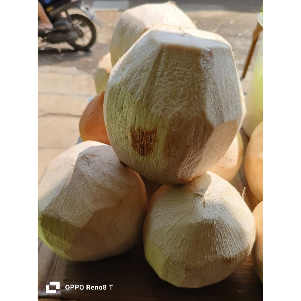 

degan kupas bersih segar dan nikmat