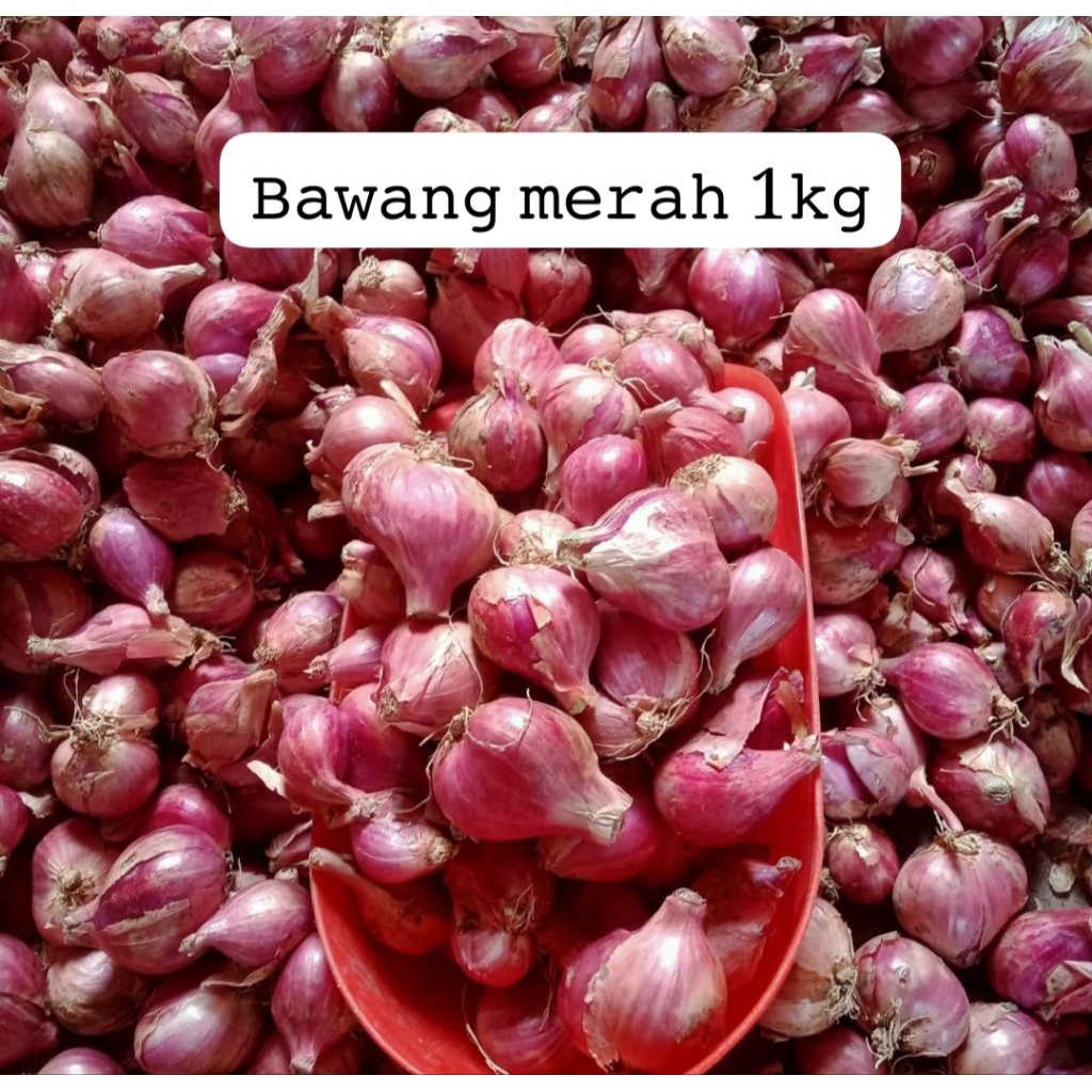 

BAWANG MERAH 1KG