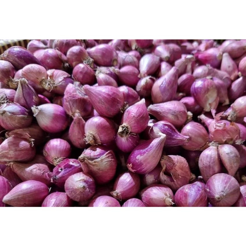 

Bawang Merah Murah 5 kg / Pengiriman Kilat Surabaya