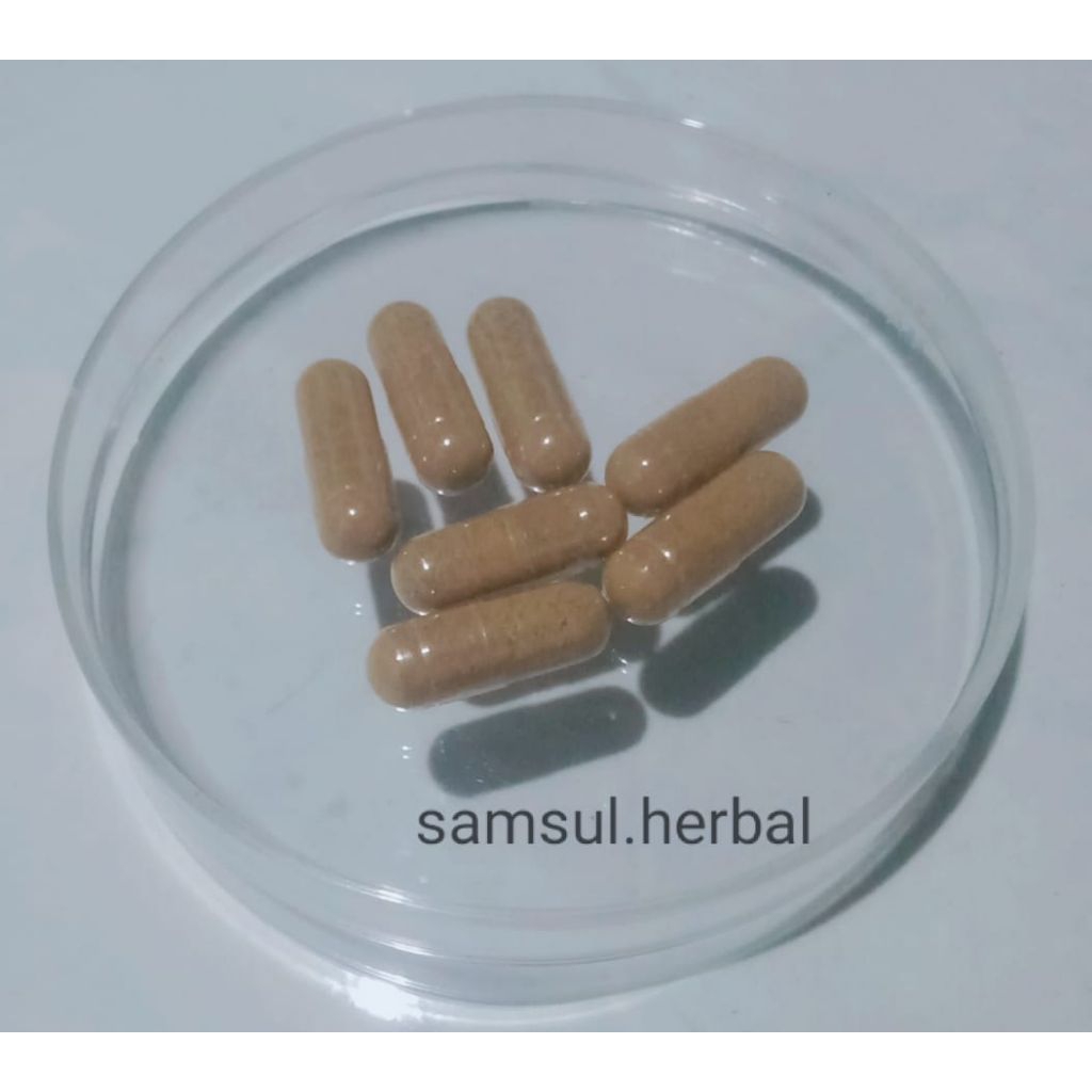 jamu kapsul pinang plus akar putrimalu/7btr/samsulherbal1