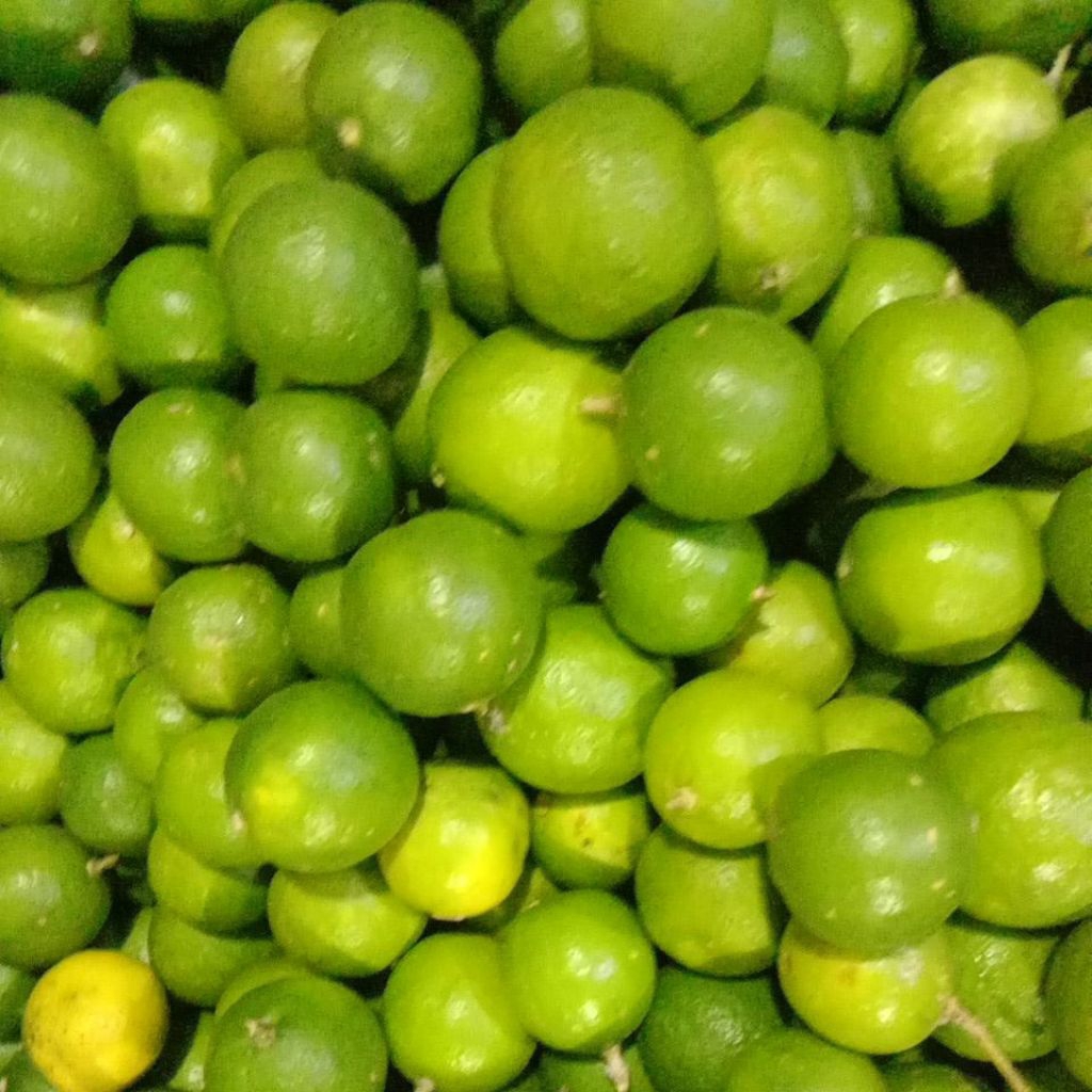 

jeruk nipis jeruk sambal 1kg