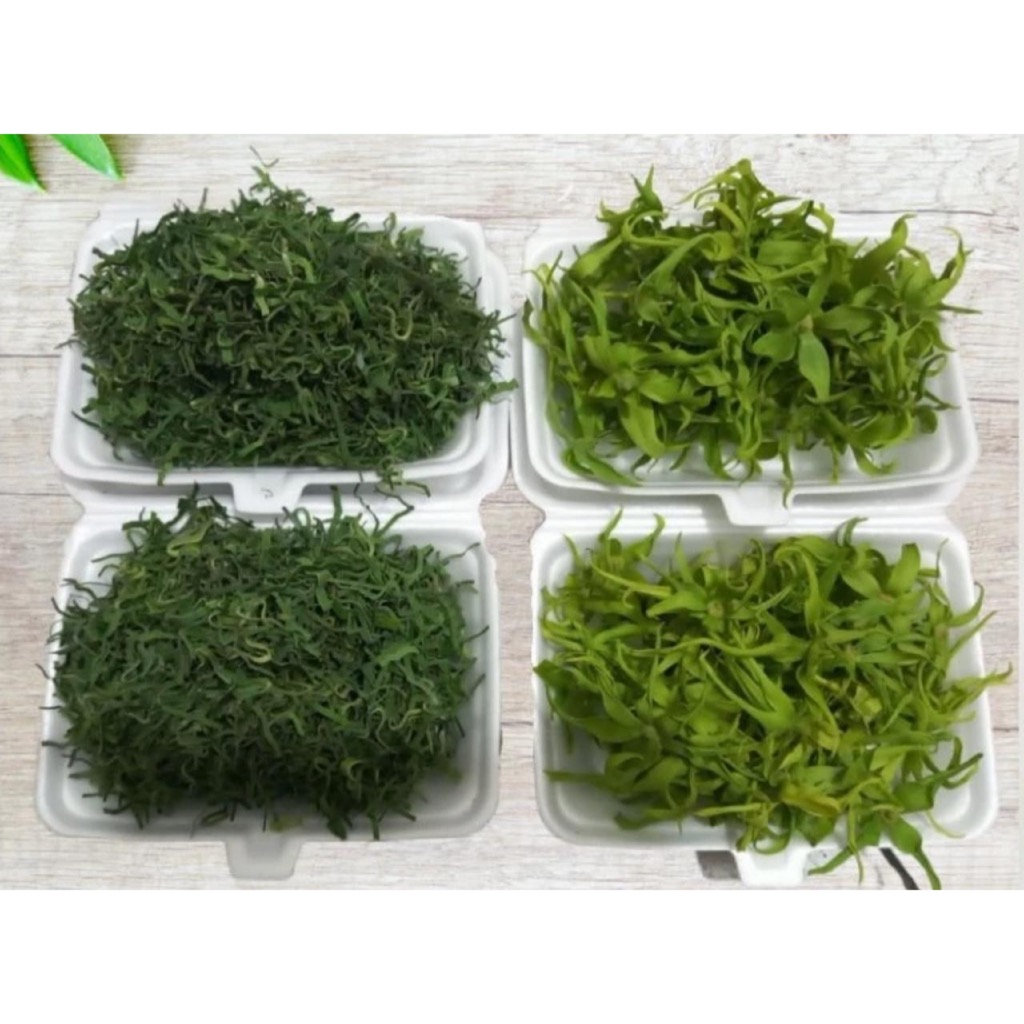 Bunga Tabur Segar Kenanga & Daun Pandan Iris – Kembang Tabur Makam / Ziarah Kubur