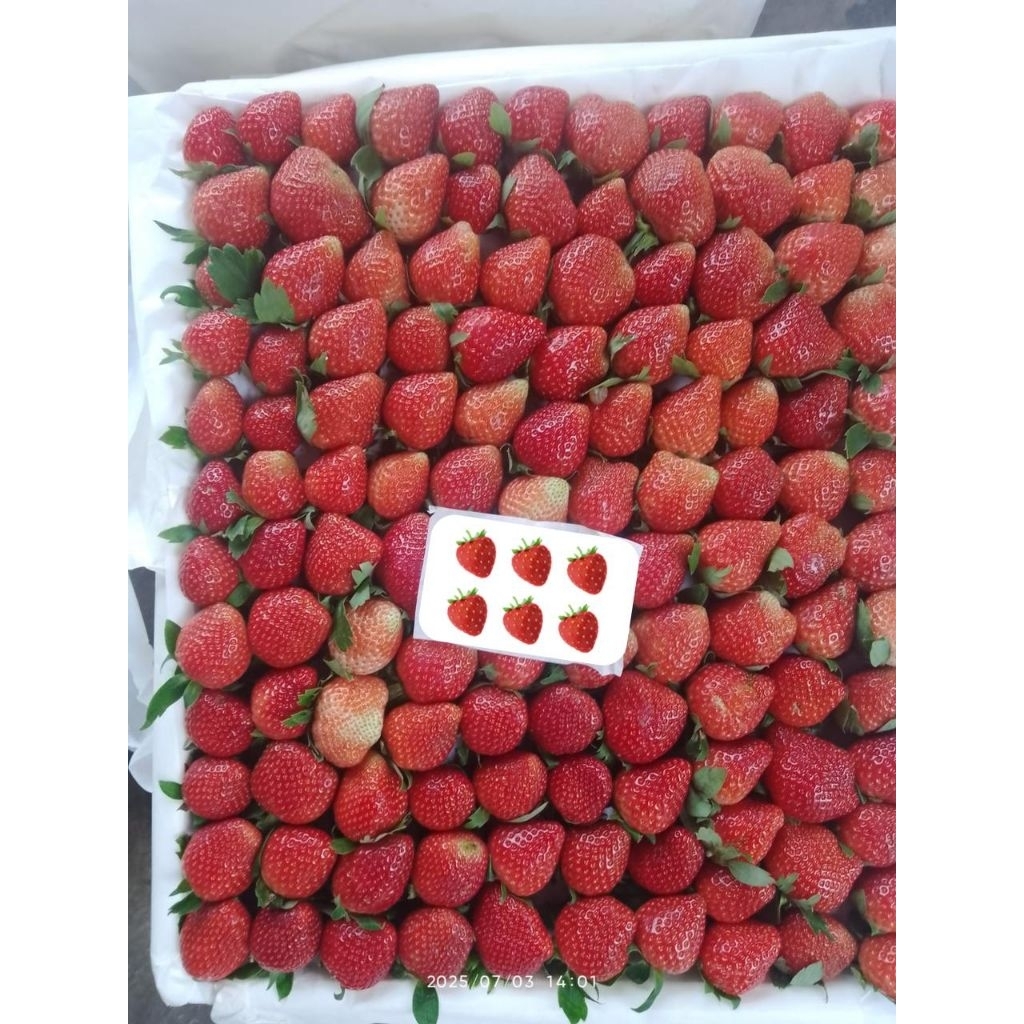

Strawberry Lokal Fresh