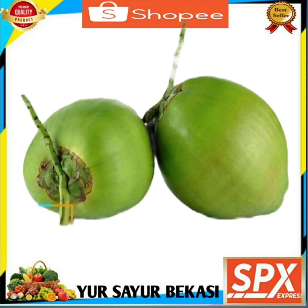 

Kelapa Hijau/Kelapa Ijo (Perbuah).