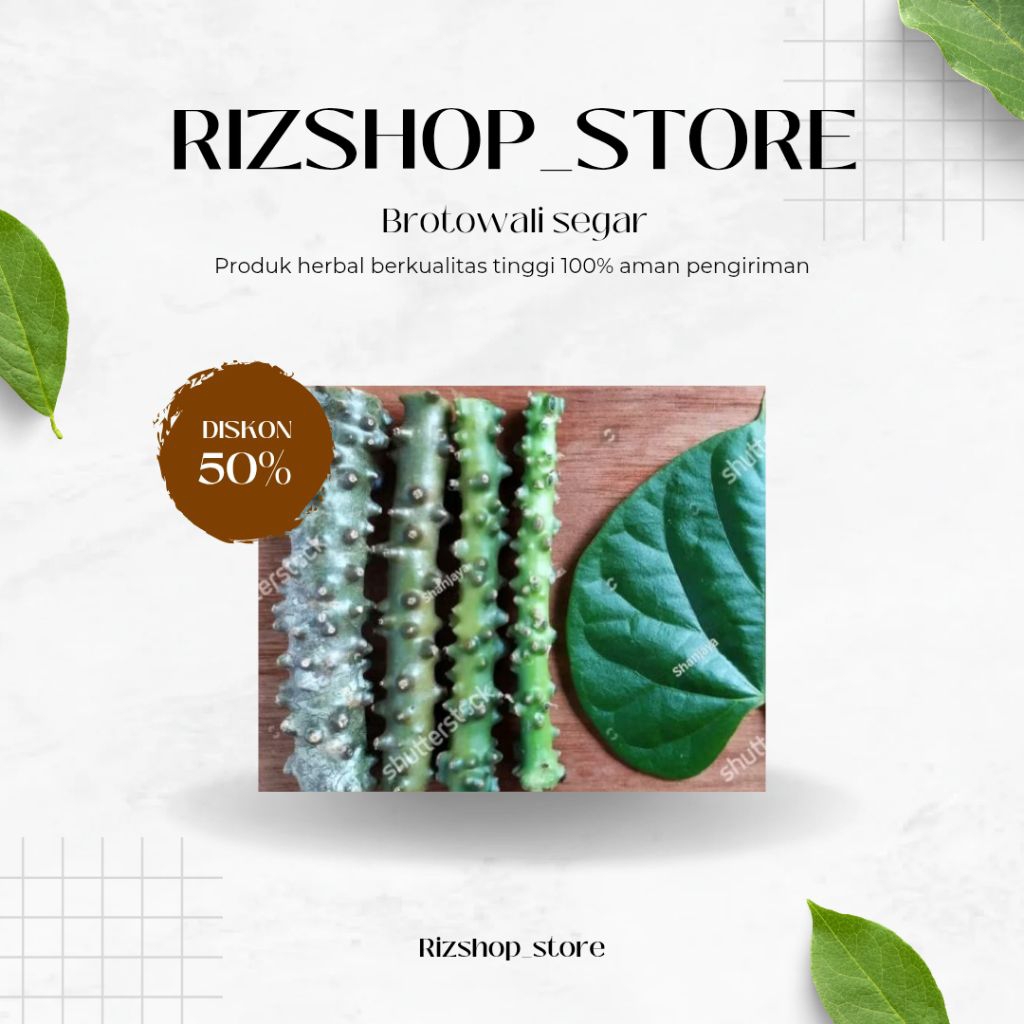 

Brotowali segar 100 gram termurah untuk sapih