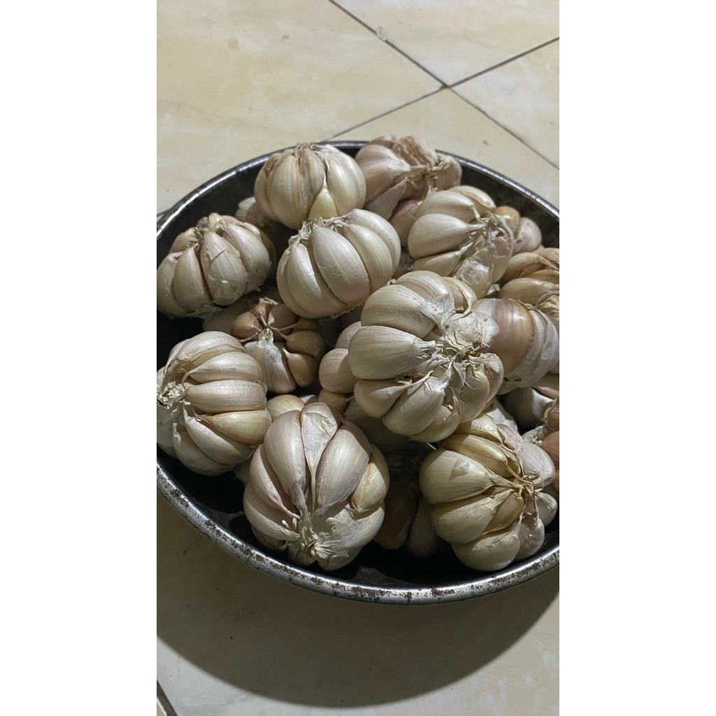 

bawang putih
