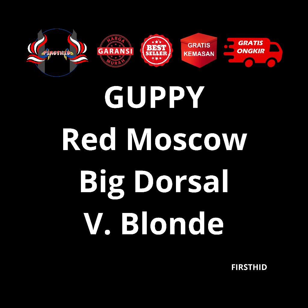 (BEST SELLER) Aksesoris Akuarium GUPPY Red Moscow gen carrier Ribbon Fin C