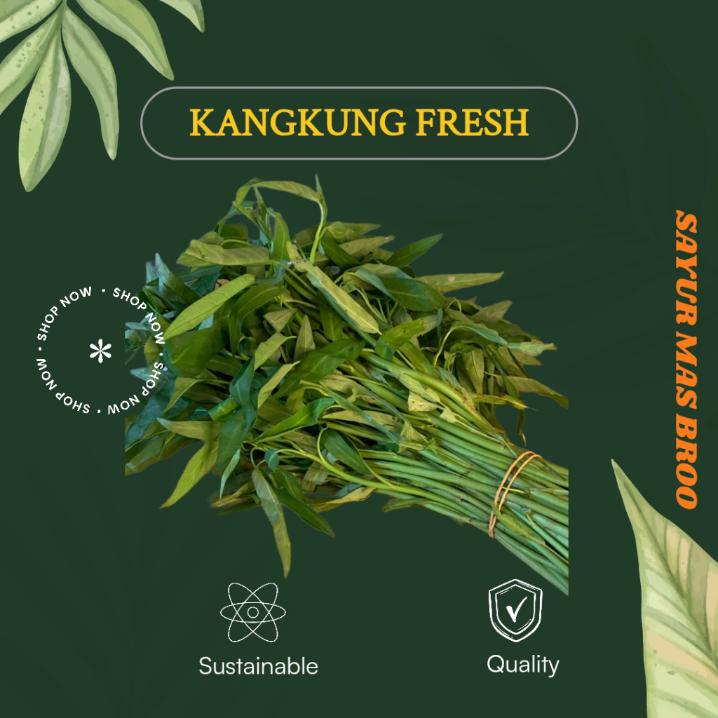 

Sayur Kangkung 1 Ikat - Sayuran Mas Broo Palembang