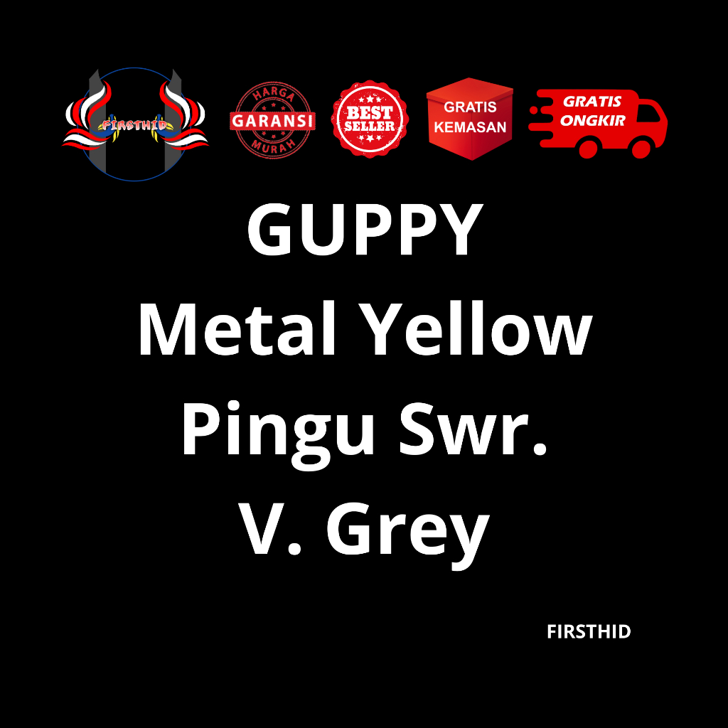 (BEST SELLER) Aksesoris Akuarium GUPPY Metal Yellow Pingu Swallow Ribbon Fin