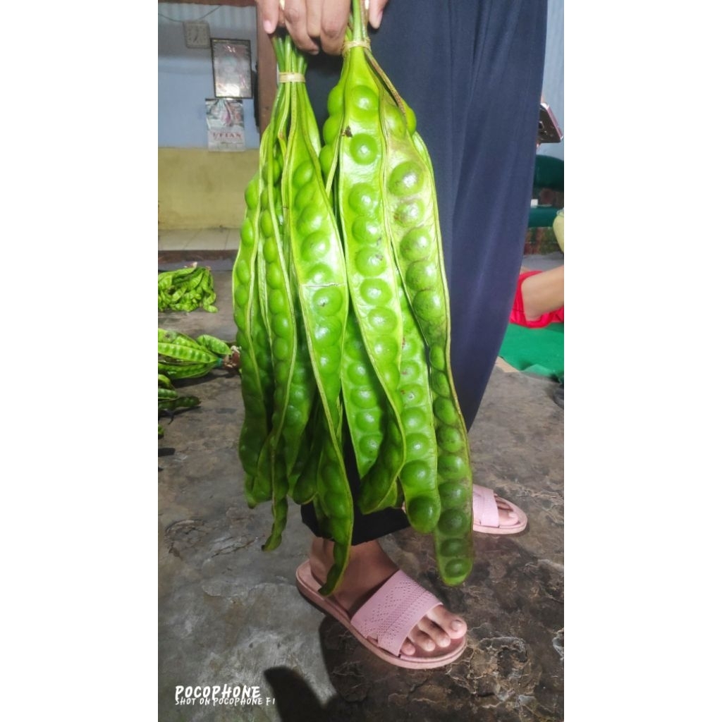 

pete super murah fresh