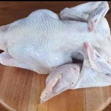 Ayam Pejantan 1kg ( berat hidup)