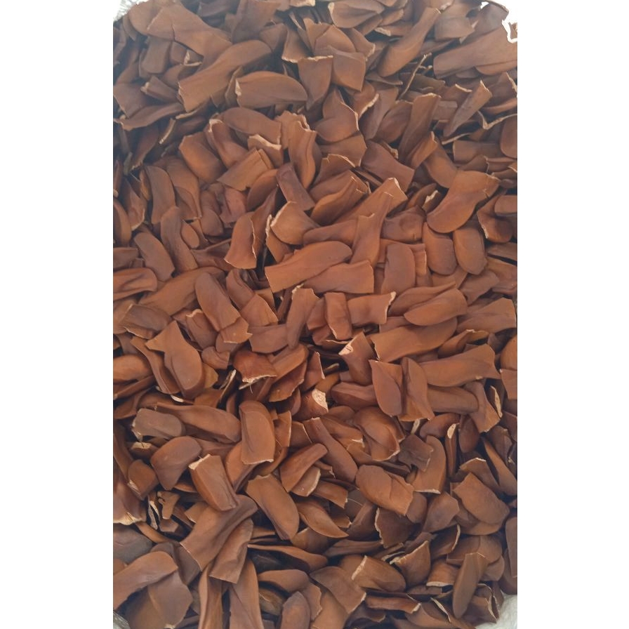 

BIJI MAHONI KERING 100 Gram