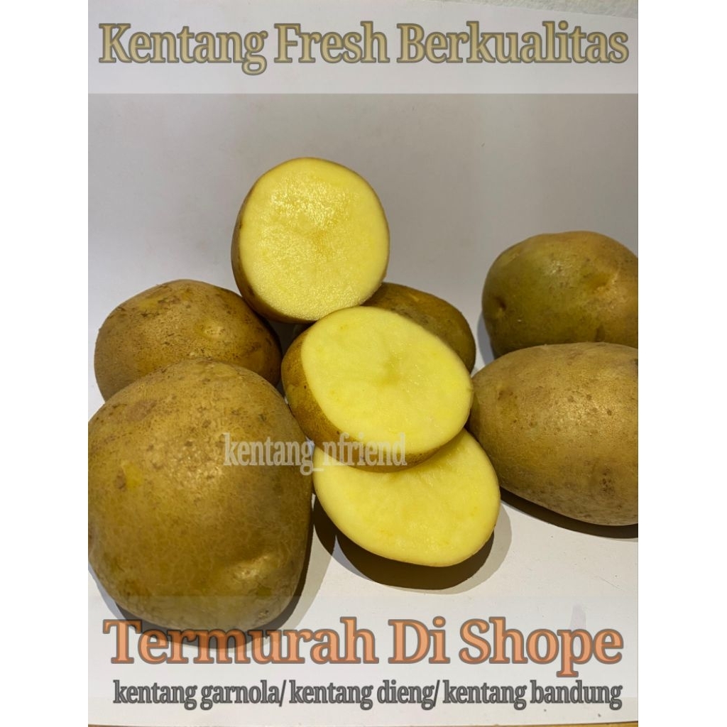 

kentang fresh, kentang garnola, kentang dieng, kentang bandung