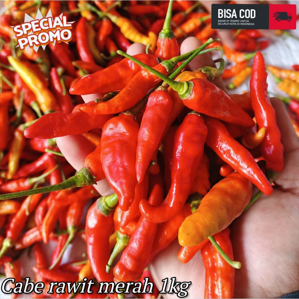 

cabe rawit merah 1kg