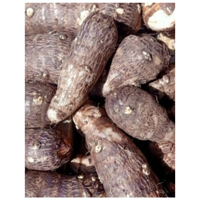 

MBOTE MURAH 1 Kg / MBOTHE SEGAR 1 Kg