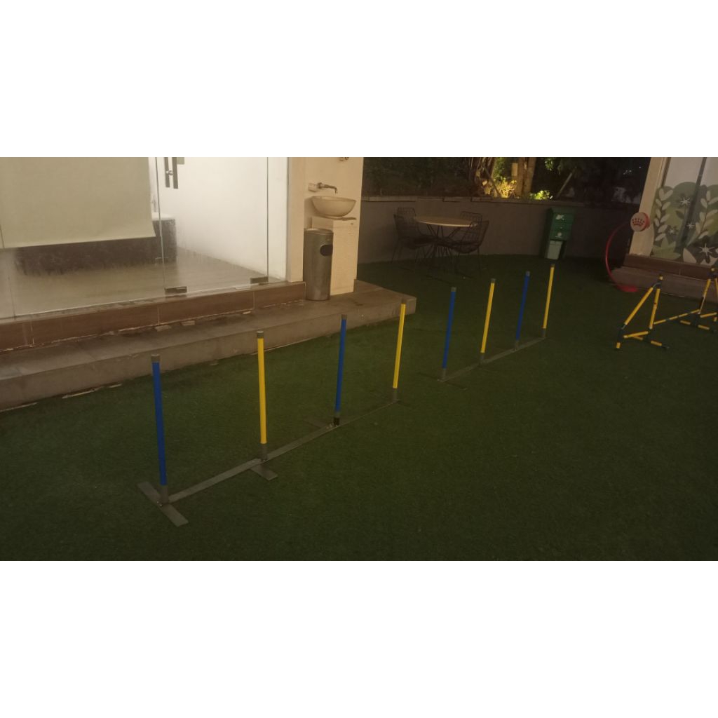 wave pole agility dog