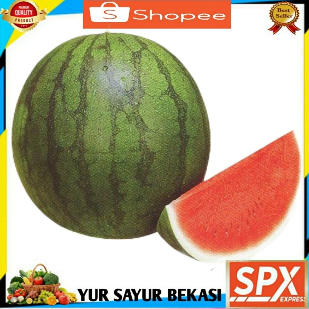 

Semangka Manis Non Biji.