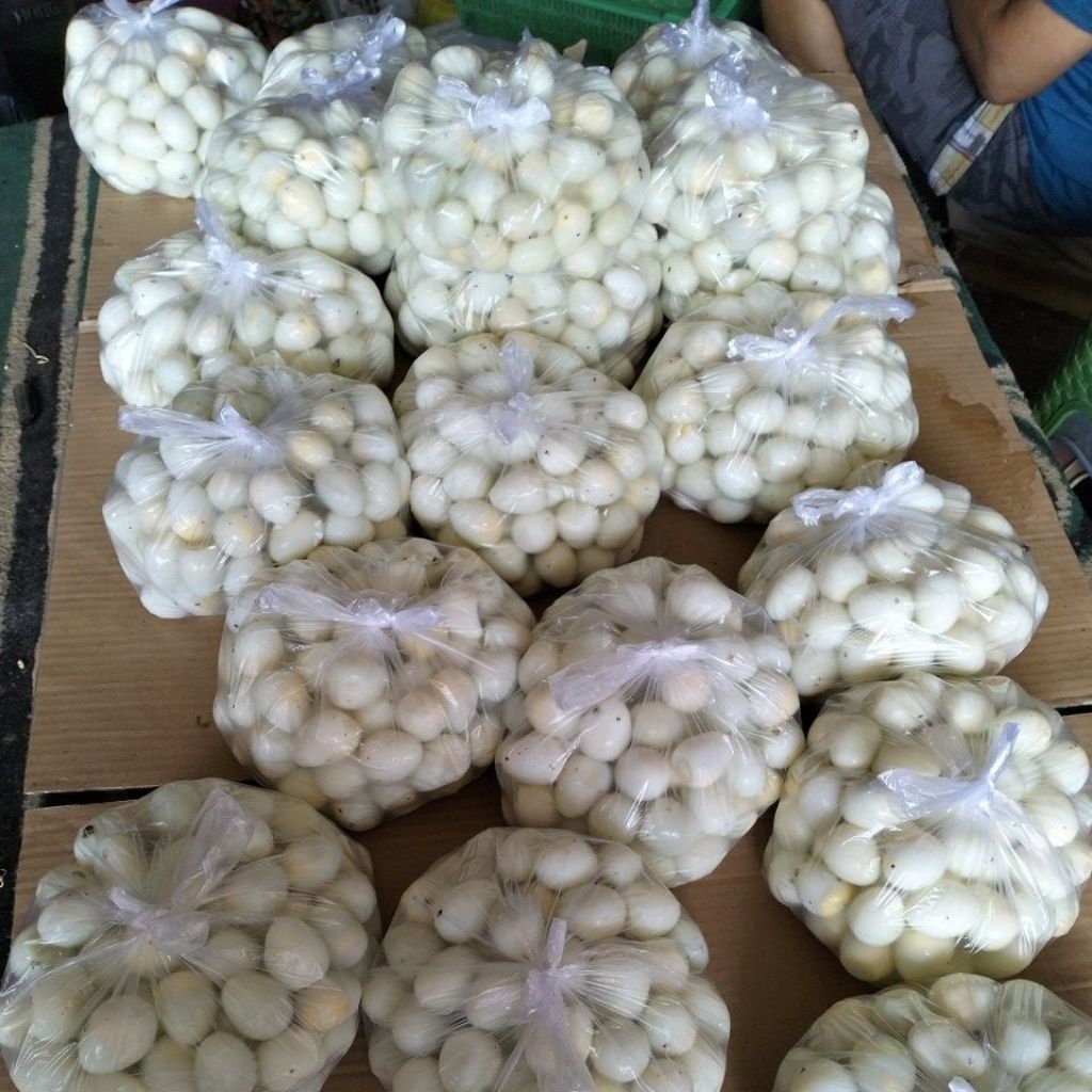 

TELUR PUYUH premium rebus Kupas/telur puyuh isi 100 butir dan 50 butir