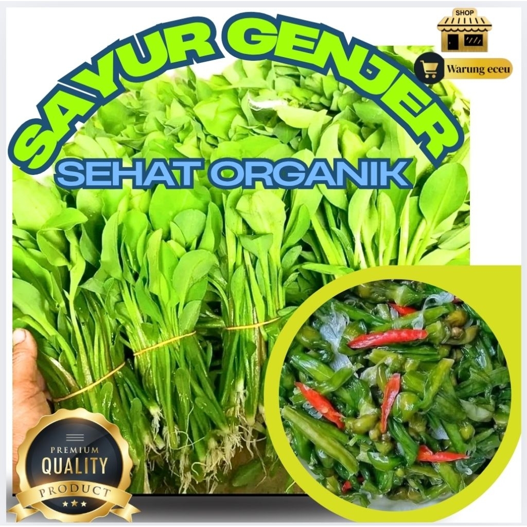 

Sayur Genjer Segar | Genjer Gendut Organik 500 Gram