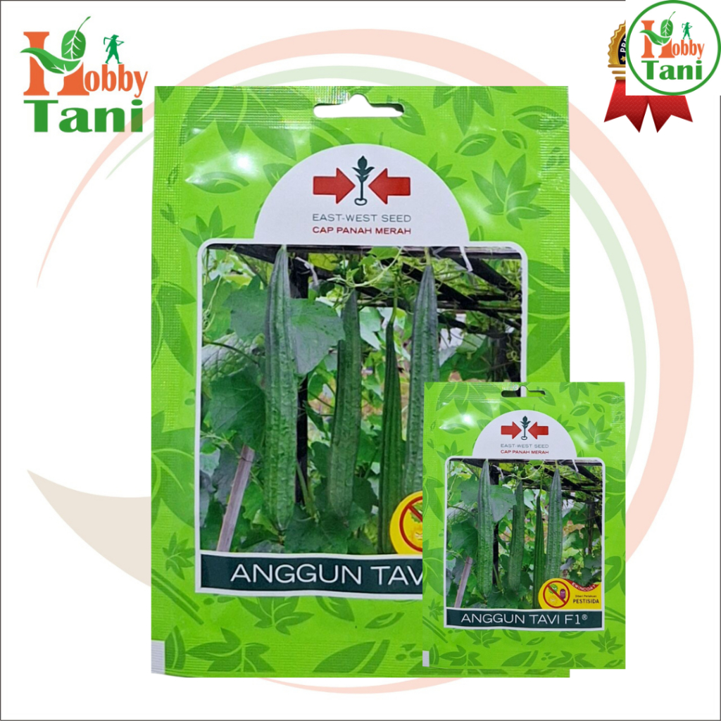 Benih Gambas Oyong Anggun Tavi Panah Merah 75 Biji