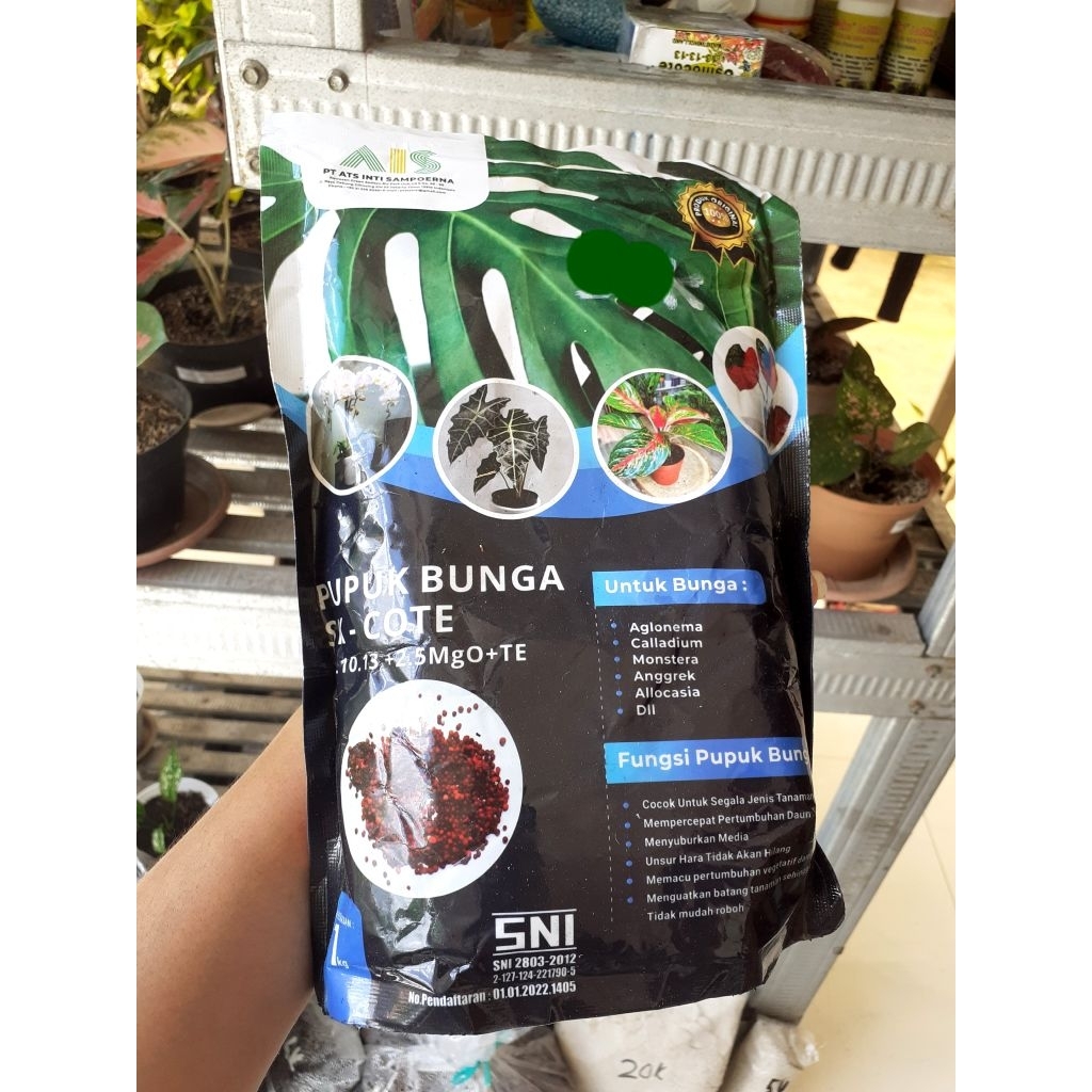 Pupuk  SK Cote 191013 2,5 MgO + TE 1 kg