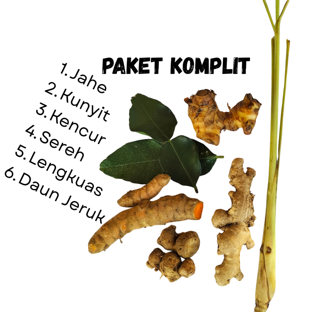 

Paket Lengkap Bumbu Rempah Jahe Kunyit Kencur Sereh lengkuas Daun Jeruk untuk Opor Rendang Gulai