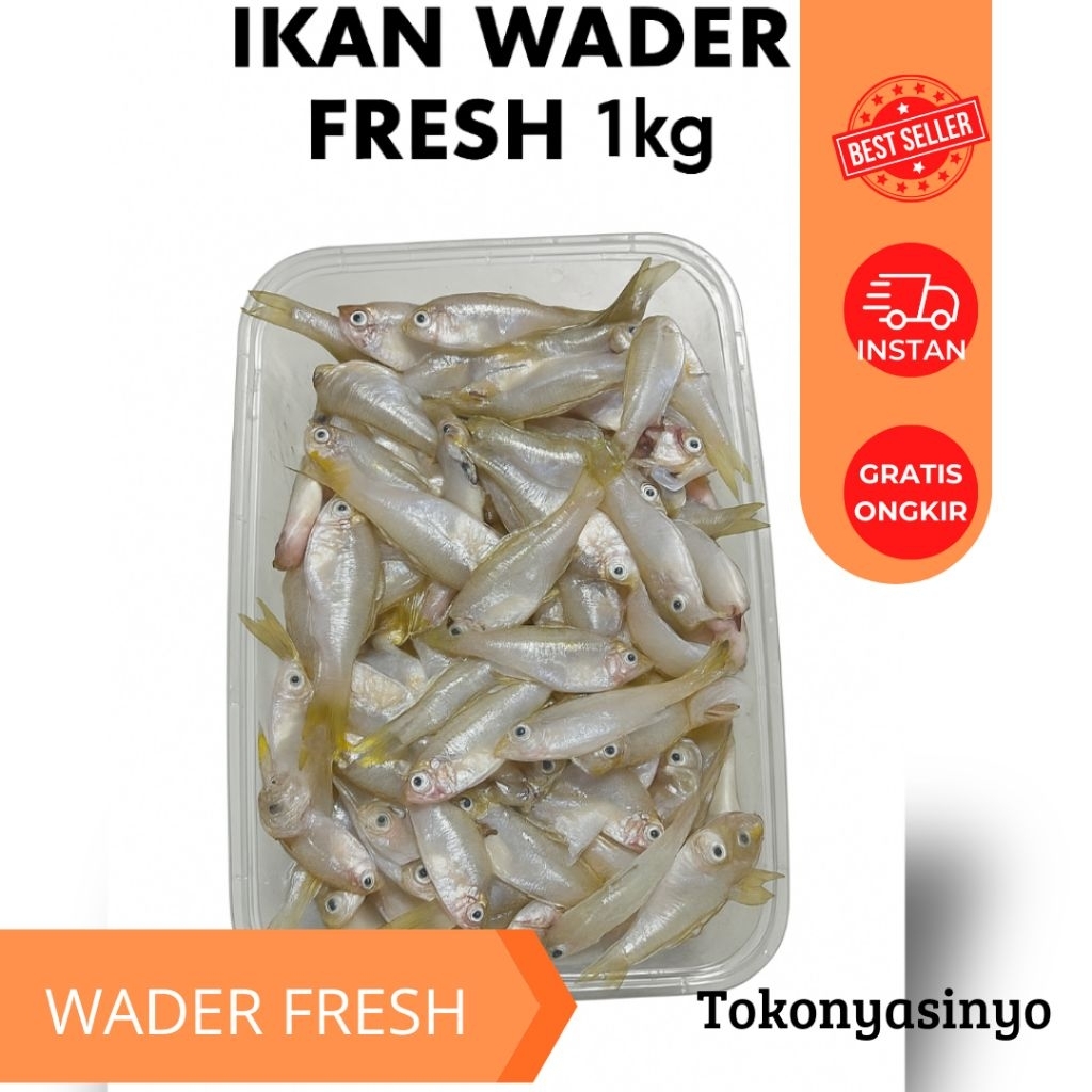 

Ikan Wader Fresh 1kg