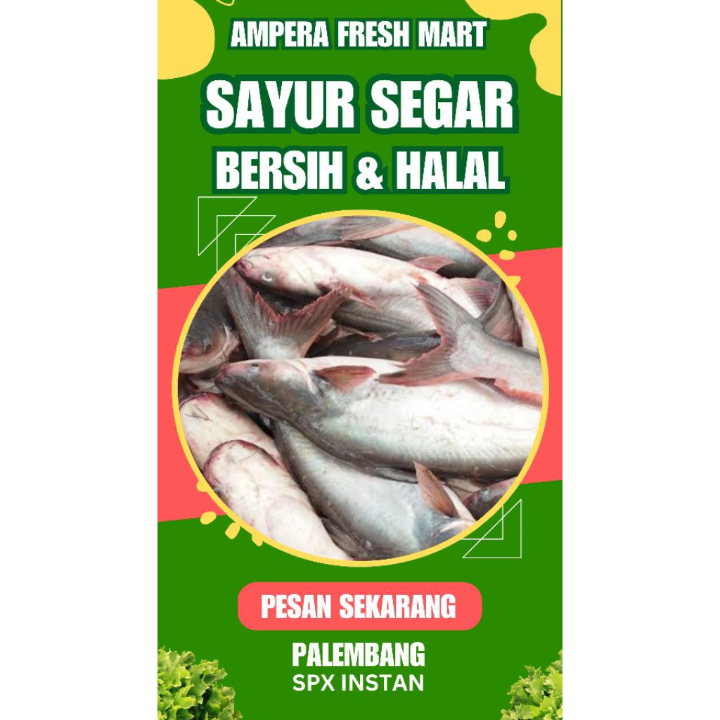 

IKAN PATIN - INSTAN PALEMBANG