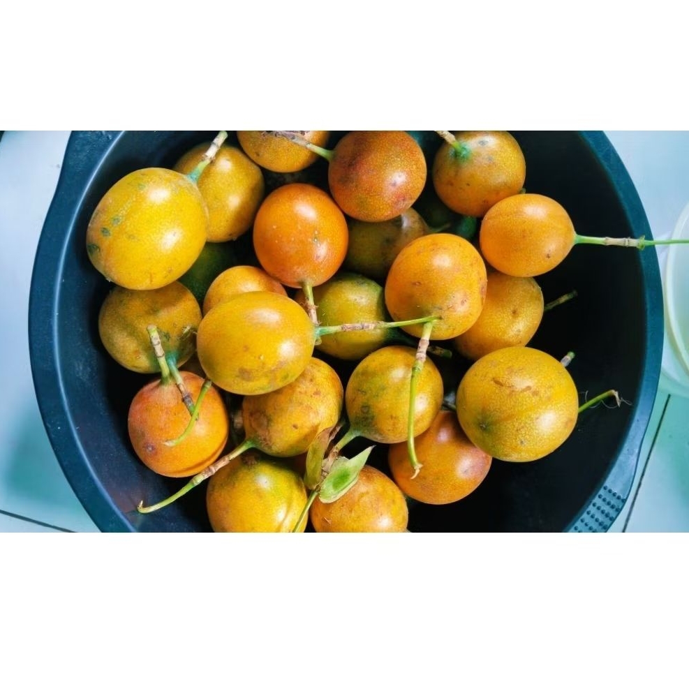 

jual 1 kg buah markisa madu /konyal madu super manis dan segar