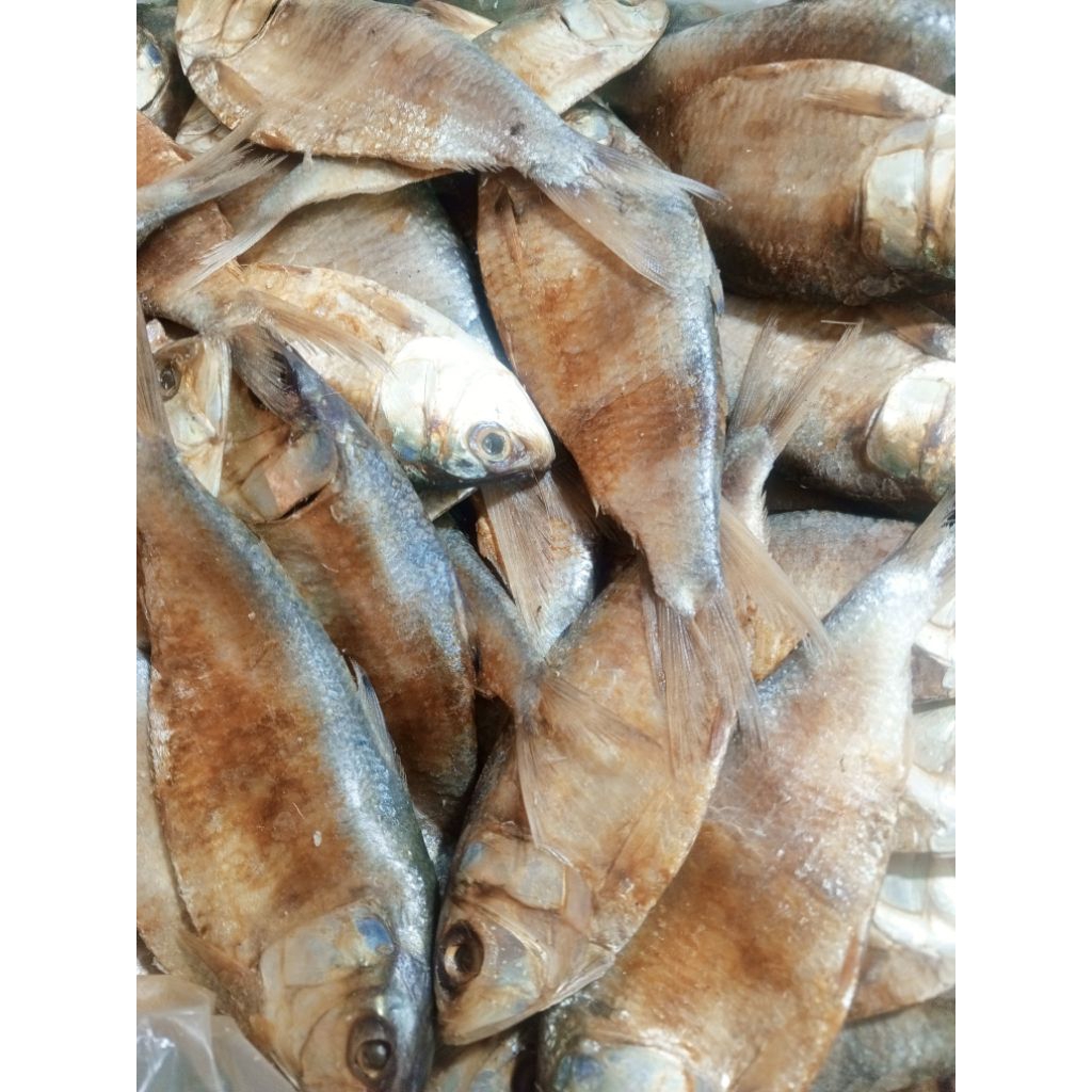 

Ikan Asin Peda Belo