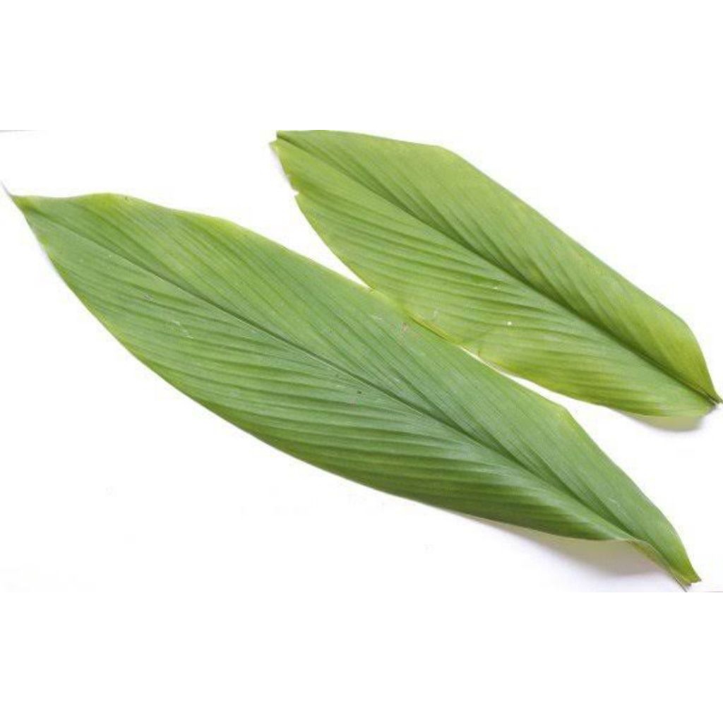 

Daun Kunyit 1 ikat (rempah segar)