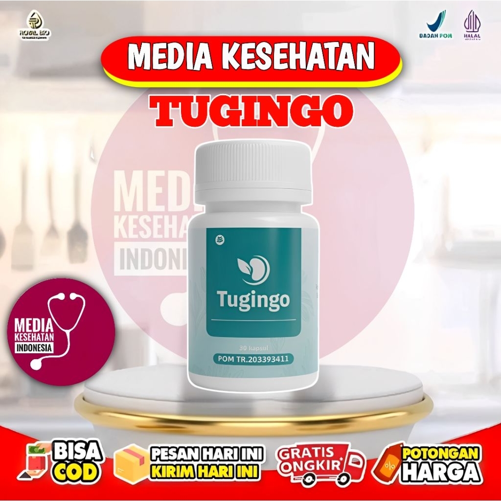 Kapsul Tugingo Obat Herbal Batu Ginjal Hernia Tugingo 30 Kapsul Original BPOM