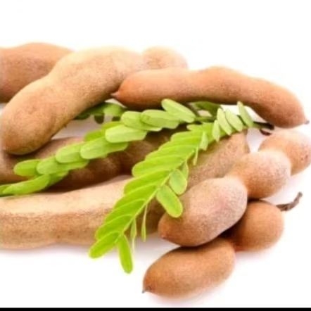 

asam segar, asam muda segar untuk keperluan rumah tangga, memasak dll per 200 gram