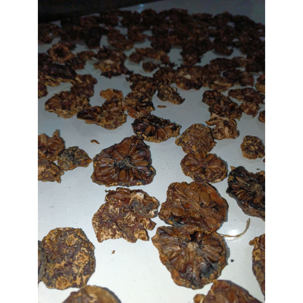 

MENGKUDU KERING 1KG MENGKUDU KERING MENGKUDU KOIN MENGKUDU BUAH MENGKUDU KERING GAPLEK MENGKUDU PACE KERING BENTIS KERING CANGKUDU KODUK KODDHU KUDU KEUMEUDEE NONO NONU UNGCOIKAN ACH KERING 100% ORGANIK