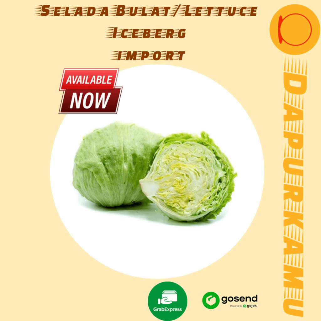 

Dapur_Kamu Express SELADA HEAD LETTUCE ICEBERG 3.5KG/7KG