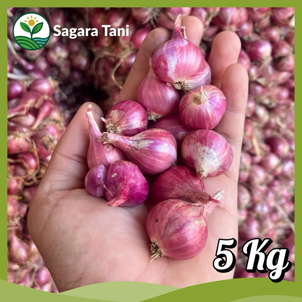 

Bawang Merah Nganjuk 5KG | Bawang Merah Tanggung Besar | Bawang Merah Murah