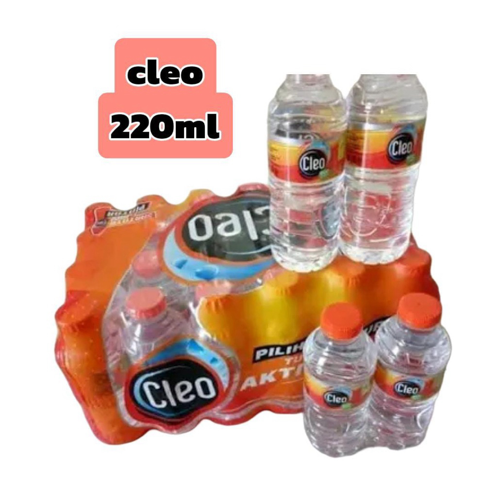 

Cleo air mineral 220ml x 24pcs