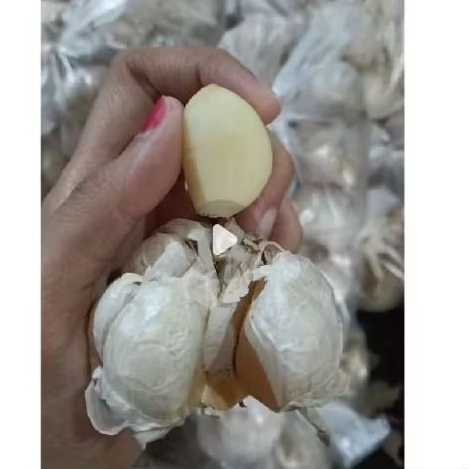 

bawang putih 10kg