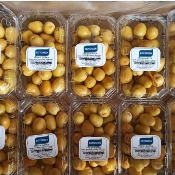 

Kurma Muda Mesir Egygreen Berat 500gram /pack