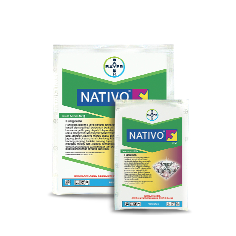 NATIVO 75 WG PER SACHET FUNGISIDA BAYER / NATIVO FUNGISIDA