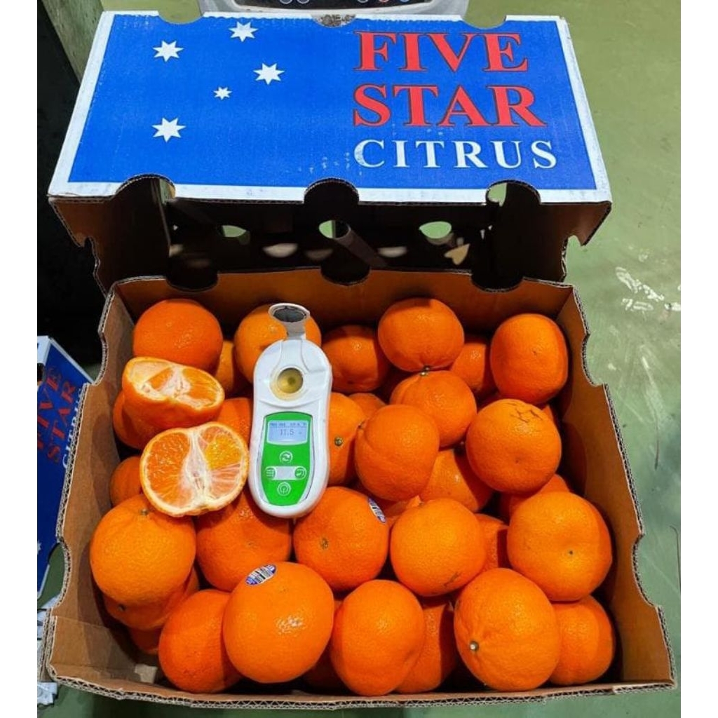 

Jeruk honey murcot+-/kg