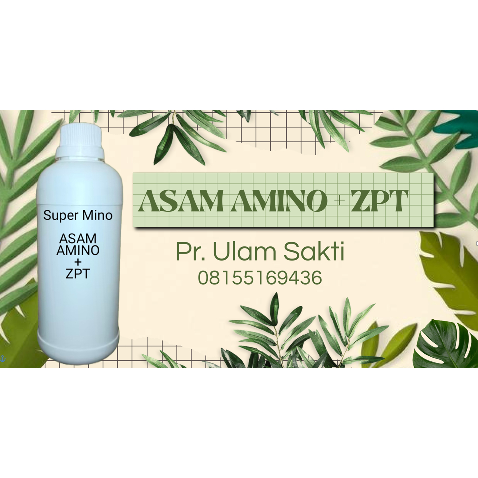 PUPUK ORGANIK ASAM AMINO + ZPT