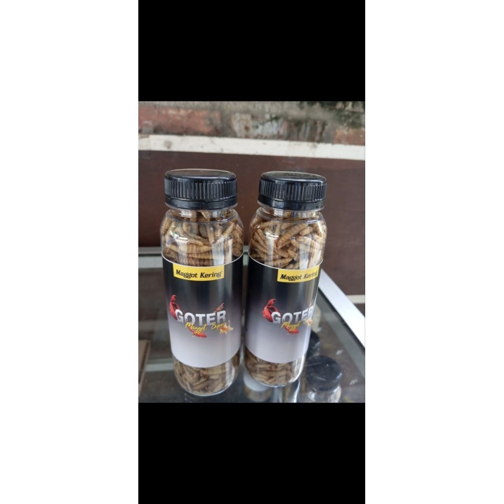 Maggot Kering / Pakan Ikan Chana
