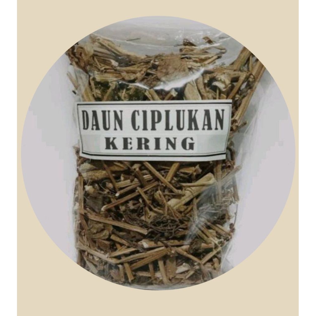 

batang ciplukan kering siap pakai 1kg