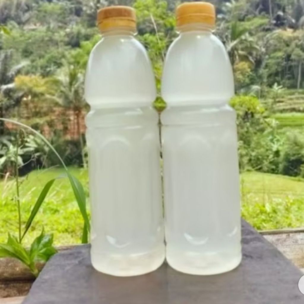 

AIR LONTAR ATAU AIR LEGEN.PENYEGARAN BADAN