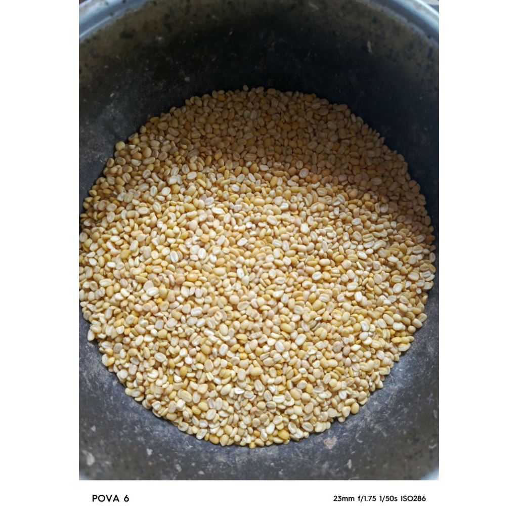 

jual kacang hijau kupas 1 kg