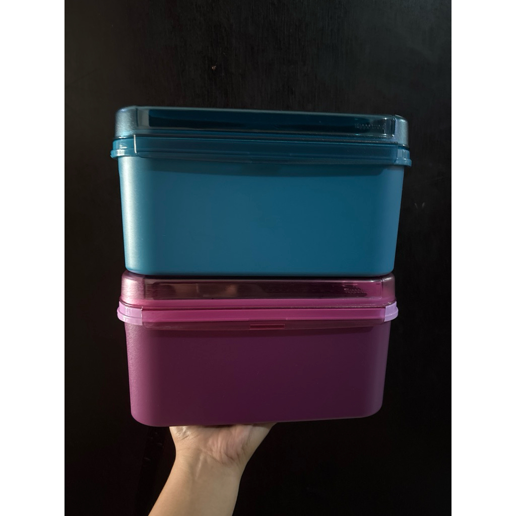 Ezy Keeper 4,3L Tupperware Seal Crystal Ezzy