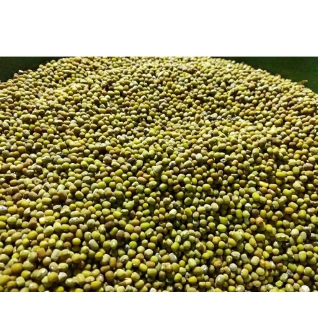 

kacang hijau lokal/tani