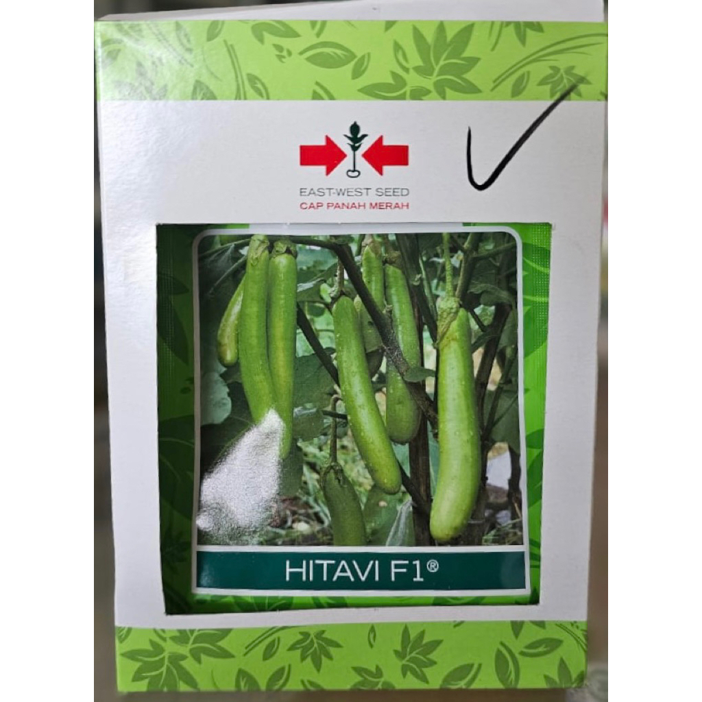 Benih Terong Hijau Hitavi F1 - Cap Panah Merah